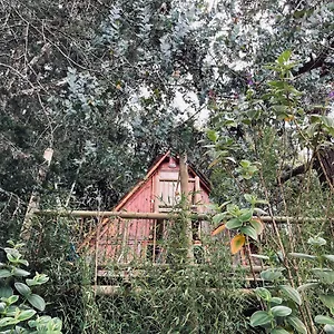 Santa Casa - El Chalet Chalet